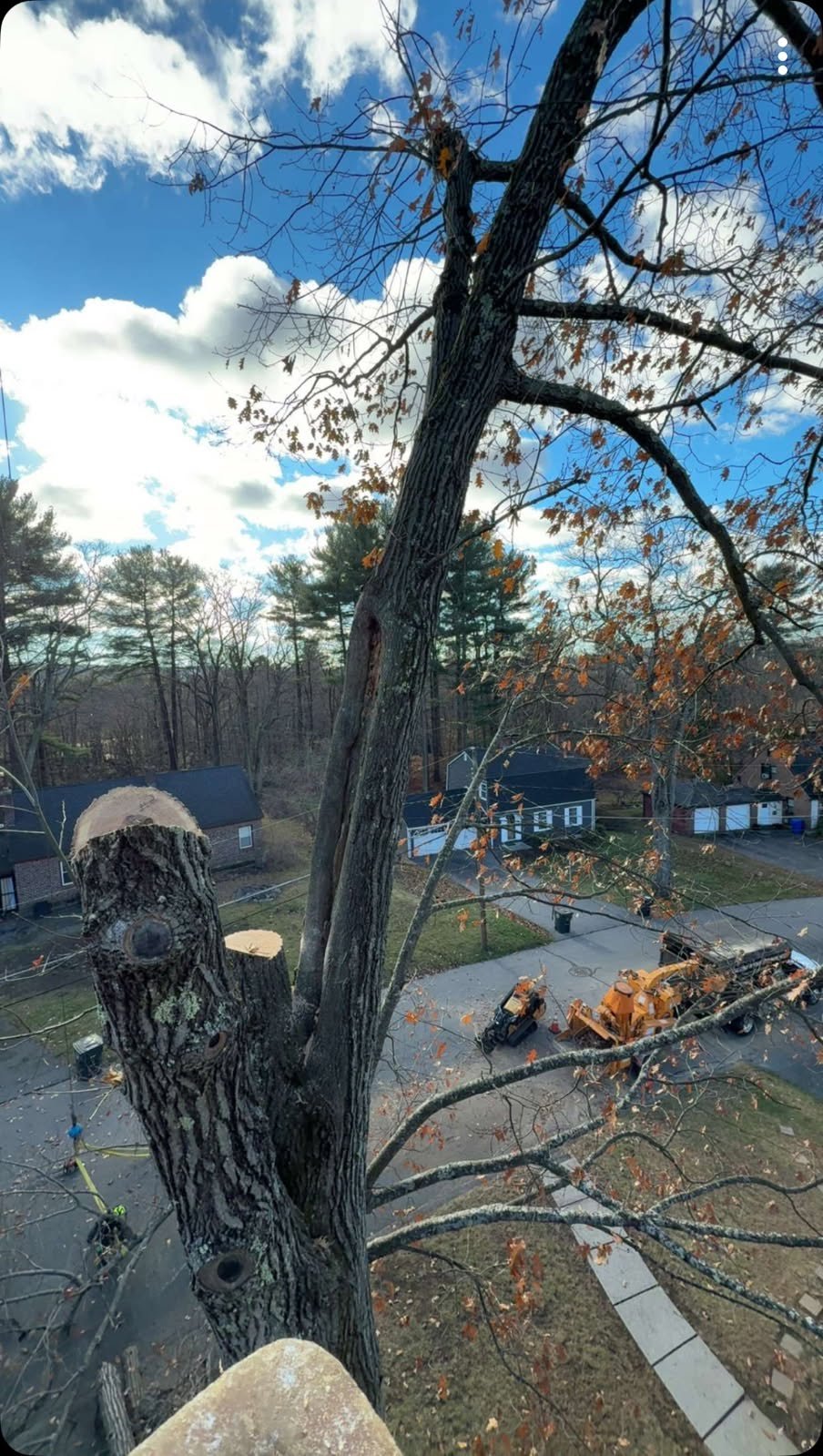 Tree Removal That Could Have Saved Our Kids' Bedroom Aerial view from the crane showing the climber rigging a major limb over the house