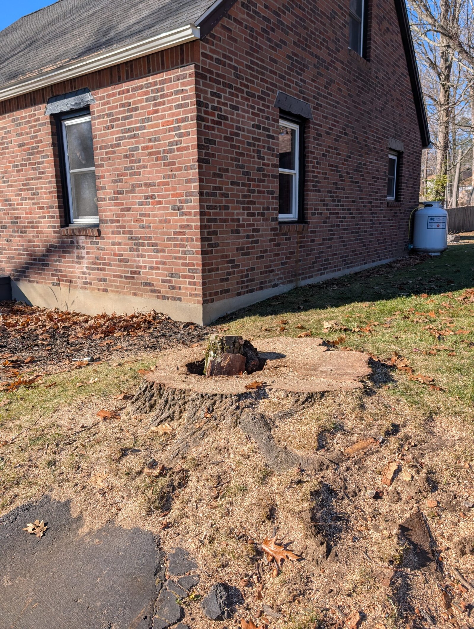 Tree Removal That Could Have Saved Our Kids' Bedroom The finished stump with a protective log cut placed in the hole to prevent accidents