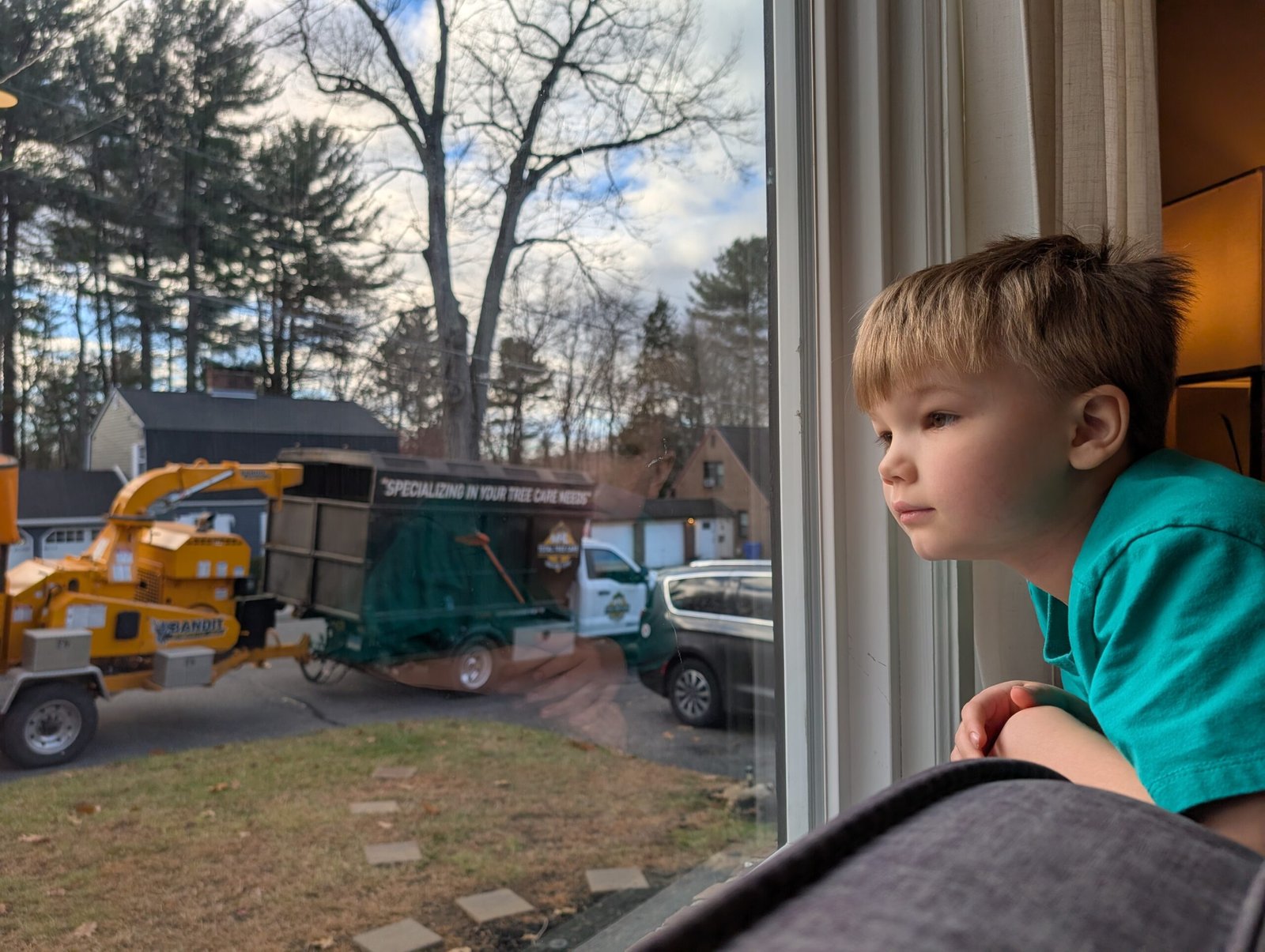 Tree Removal That Could Have Saved Our Kids' Bedroom My youngest son watching safely from the window as the tree is removed